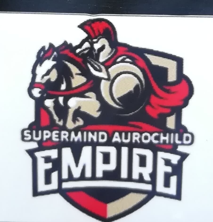 Cricket and teamwork at Aurochild