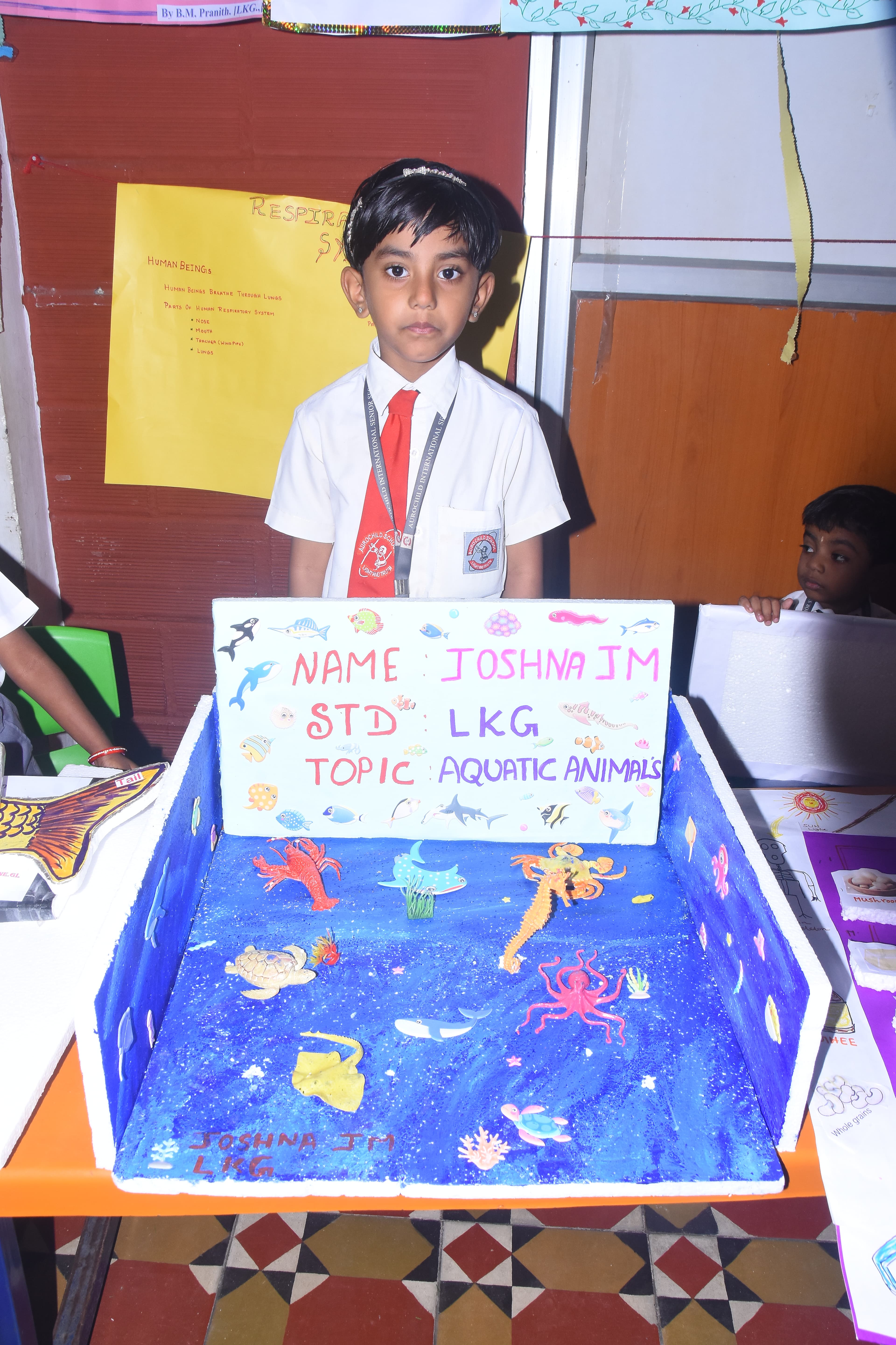 Student Project Display